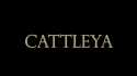 Cortometraje: "Cattleya"