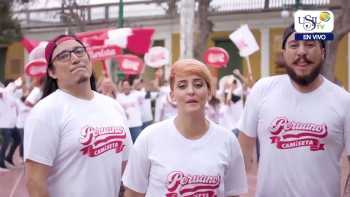 NOTA PERUANOS CAMISETA