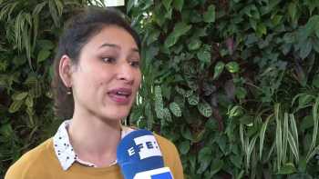 Nota Grillos Novedad Culinaria En Europa