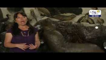 USIL Noticias Emisión 13 De Setiembre 2019