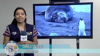 Noticiero USIL TV 14 De Febrero 2020