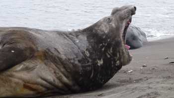 Nota USIL En La Antártida