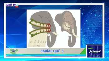 ¿sabías qué? 8 de noviembre 2022