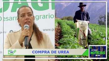 Las cinco noticias del día 14 de noviembre 2022