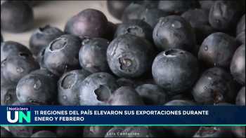 Desde las regiones: Durante enero y febrero 2023, 11 regiones del Perú elevaron sus exportaciones